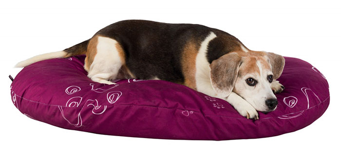 Jastuk za pse Jolie 60cm Trixie 37435 - dodatni pogled