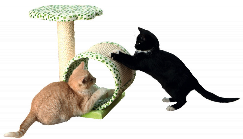 TRIXIE Grebalica za mačiće CALINA sa stubom 40cm - dodatni pogled