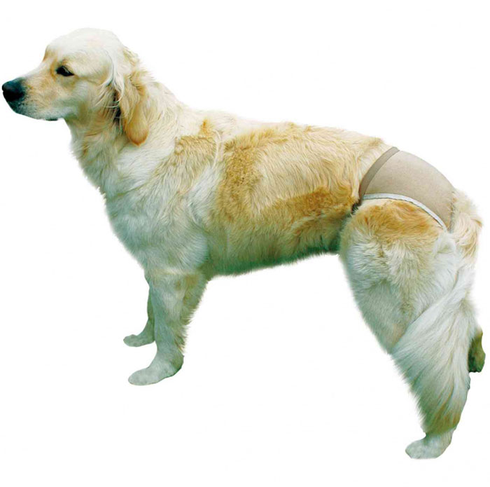 Zaštitne gaćice za ženske pse - struk 40-49cm - boja bež Trixie 23403 - dodatni pogled