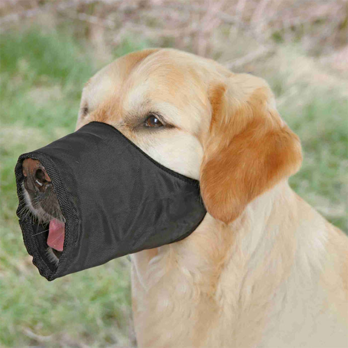 Korpa za pse veličina 2 Trixie 1922 - dodatni pogled