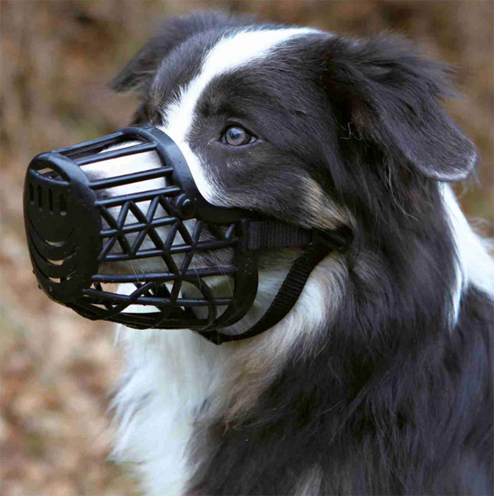 Plastična korpa za njušku veličina S krem boje Trixie 17602 - dodatni pogled