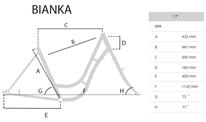 Ženski bicikl Capriolo Bianka 918251-17 - dodatni pogled