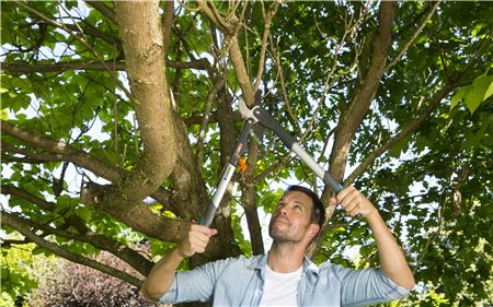 Gardena Makaze za grane SmartCut Comfort GA 08773-20 - dodatni pogled