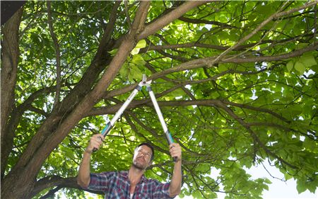 Gardena Makaze za grane EasyCut 680 B GA 12003-20 - dodatni pogled