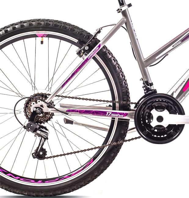 Bicikl Capriolo Passion Lady 26/18 919382-19 - dodatni pogled