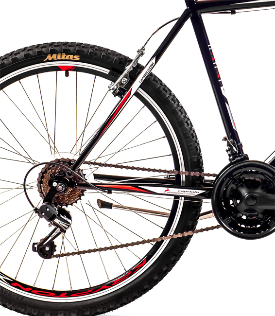 Bicikl Capriolo Passion Man 26/18 919370-19 - dodatni pogled