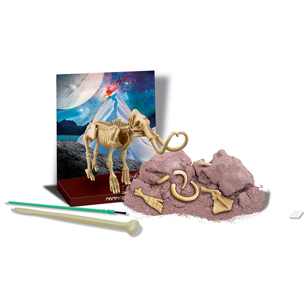 Iskopaj fosil mamuta 4M 4M03236 - dodatni pogled