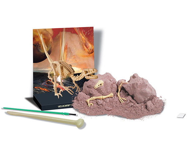 Iskopaj fosil Velociraptor 4M 4M13234 - dodatni pogled