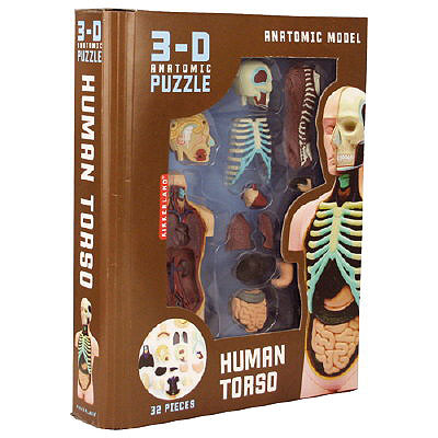Kikkerland Ljudski Torzo 3D Puzzle - dodatni pogled