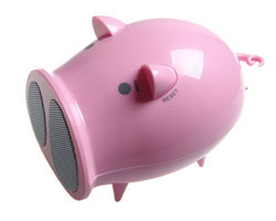 USB Radio Prase - dodatni pogled