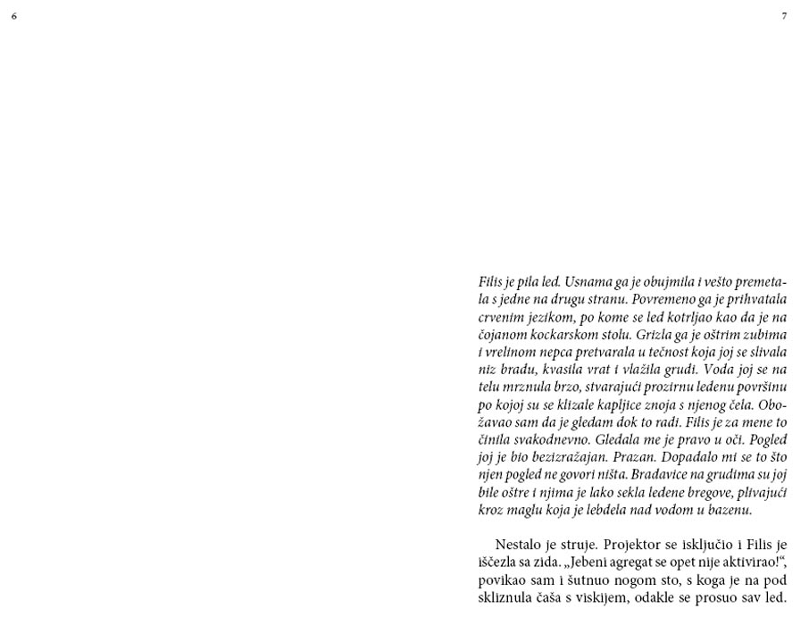 Led, Ivana Mihić - dodatni pogled