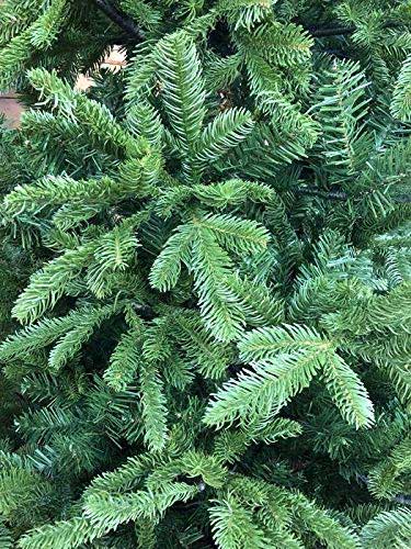 Realistična novogodišnja jelka visine 210 cm Koreana Spruce 68.9982 - dodatni pogled