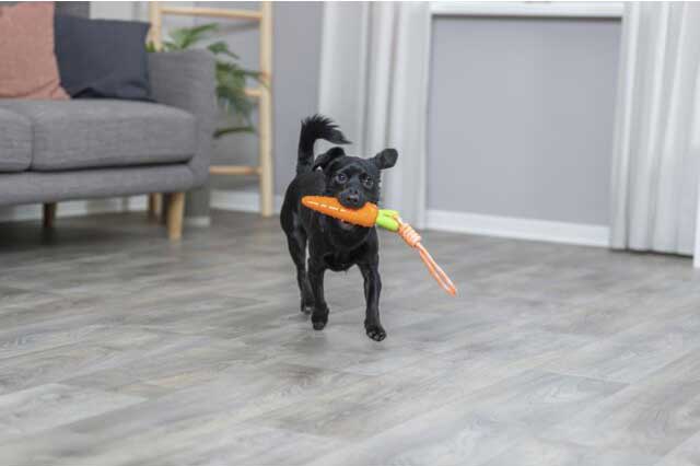 Trixie Zvučna igračka za psa Šargarepa na kanapu 39cm 34708 - dodatni pogled