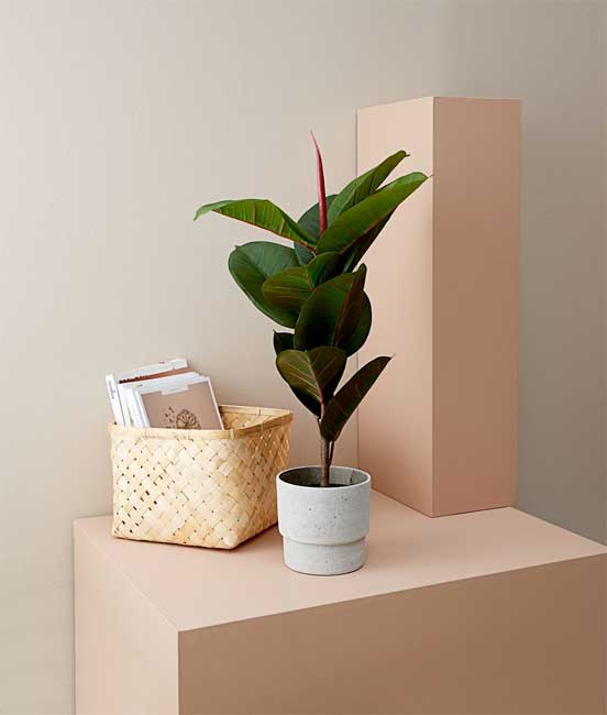 Veštačka biljka Robin V70cm sa posudom - dodatni pogled