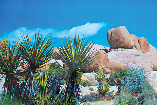 Pozadina za terarijum dupla 150x60cm Trixie 76320 - dodatni pogled