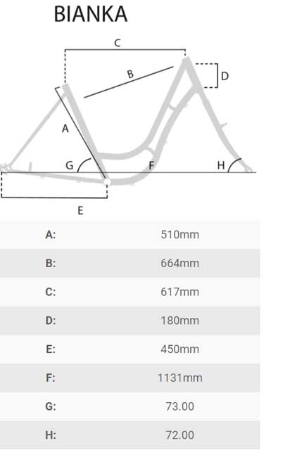 Ženski Bicikl Capriolo Bianka 28/3 918251-20 - dodatni pogled