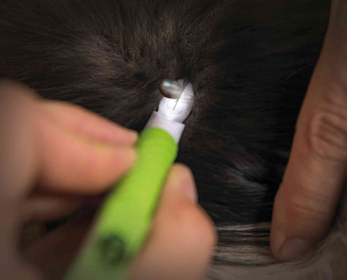 Odstranjivač krpelja sa LED lampom Trixie 24281 - dodatni pogled