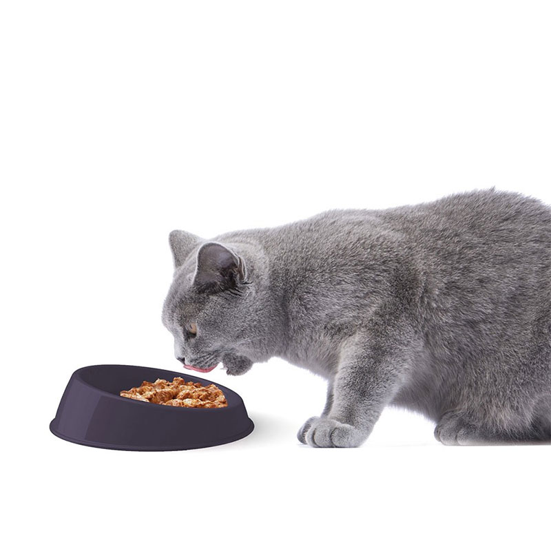 Činija za mačke Vibrissa 19cm - spuštena 10002 - dodatni pogled