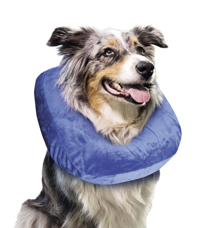 Zaštitna kragna za pse, veličina S Nobby 67475 - dodatni pogled