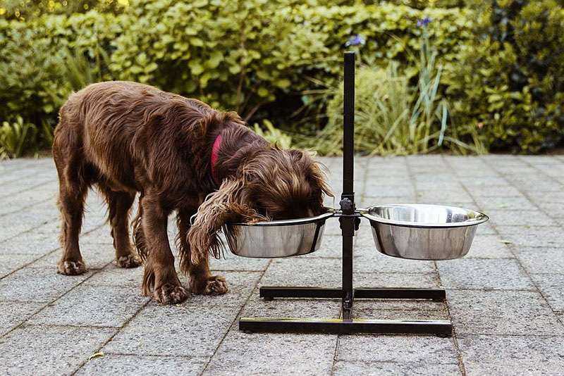 Činije za pse na podesivom postolju L veličina Nobby 72830 - dodatni pogled