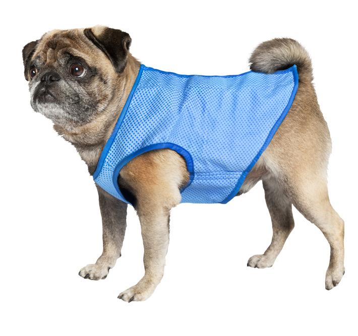 Nobby Rashladni prsluk za pse veličina S Cooling 62221 - dodatni pogled