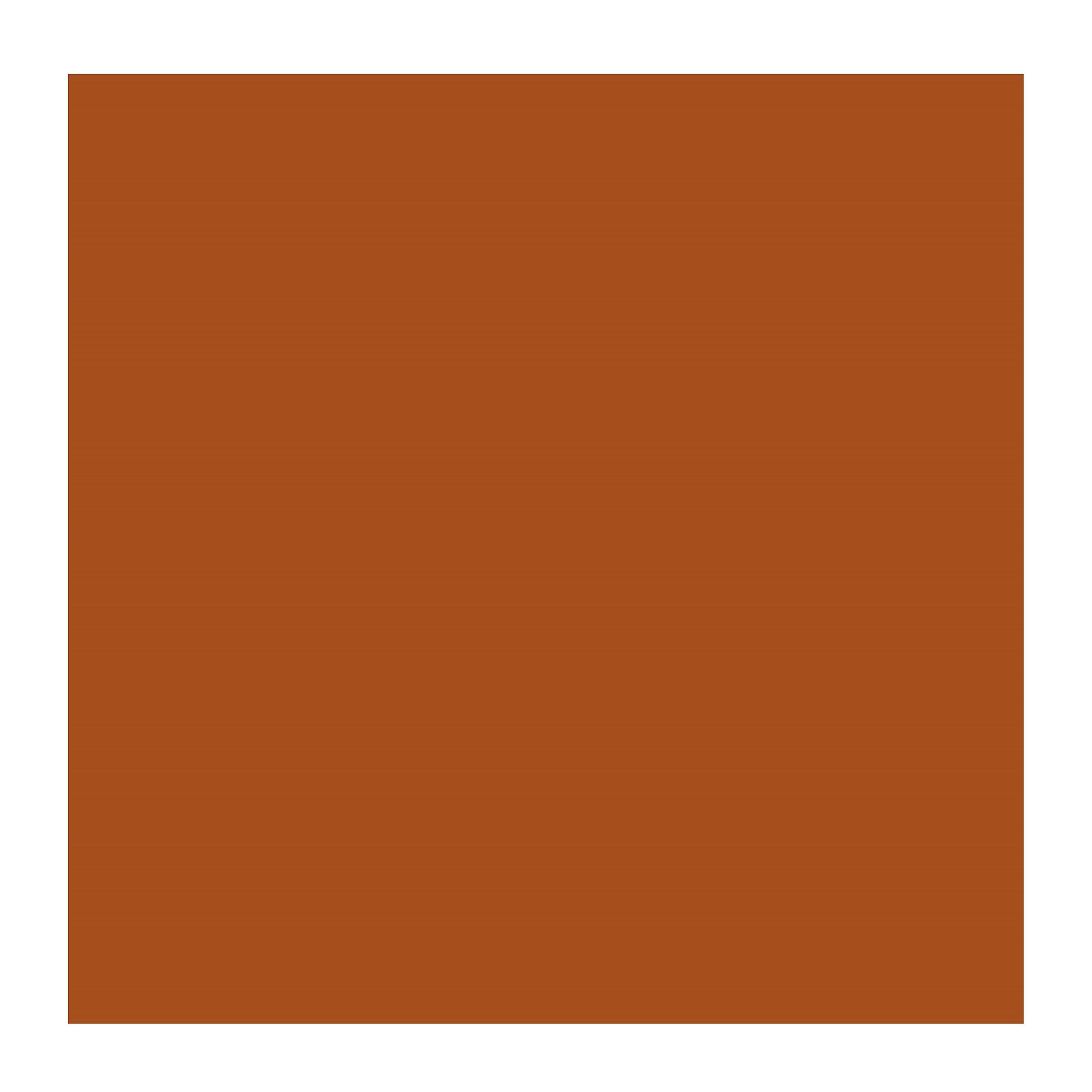 TALENS Rembrandt - Uljana boja 40ml STIL DE GRAIN BRAON 686066 - dodatni pogled