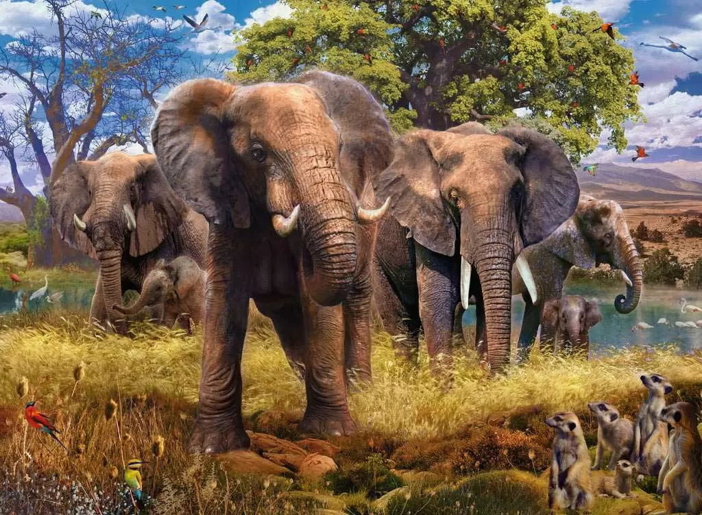 Puzzle 500 delova Slonovi Ravensburger 15040