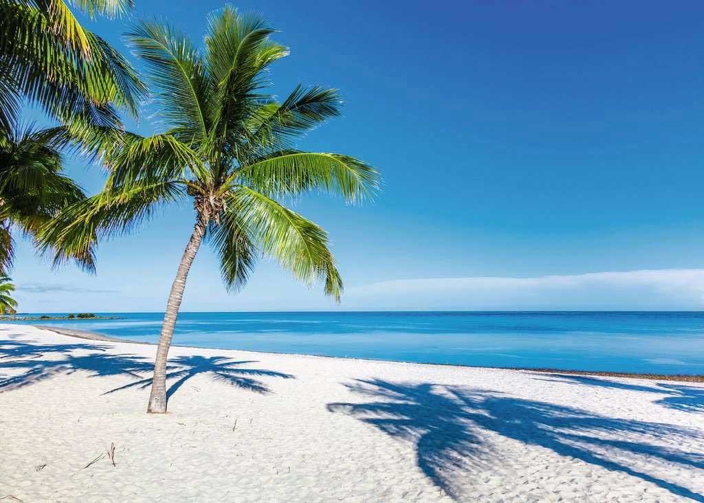 Puzzle Slagalica 1000 Rajska plaža Ravensburger 15989 - dodatni pogled