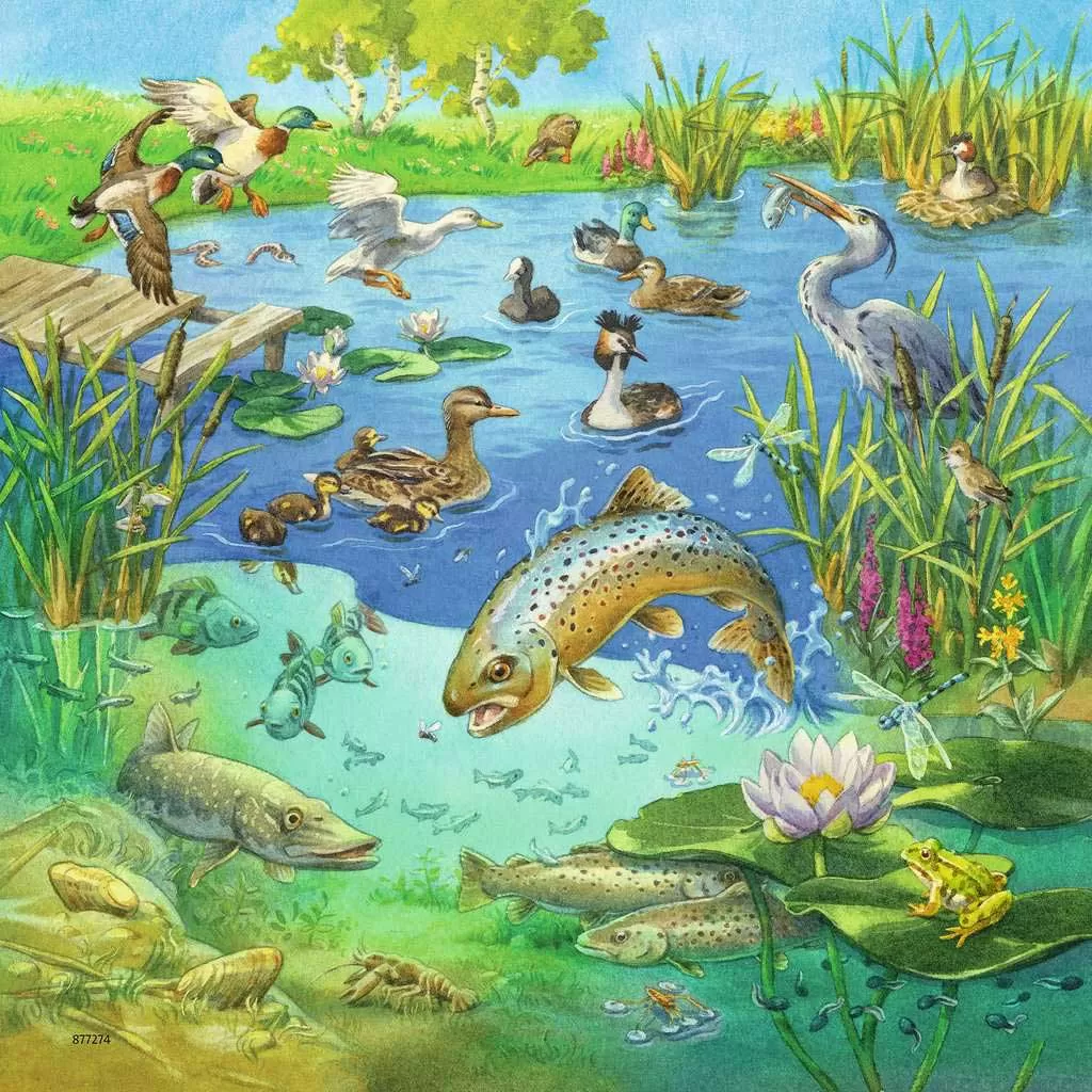 Puzzle 3x49 delova Životinje u svojim staništima Ravensburger 08050