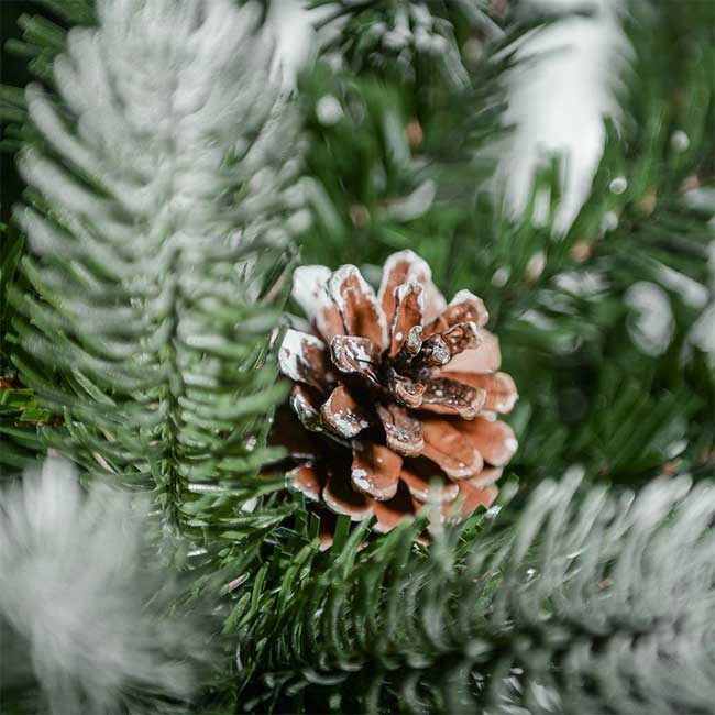 Novogodišnja Jelka Sa 2D i 3D Iglicama Tirol 240 cm - dodatni pogled