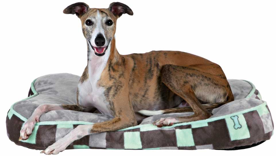 Trixie Jastuk za pse Bones 80cm 38906 - dodatni pogled