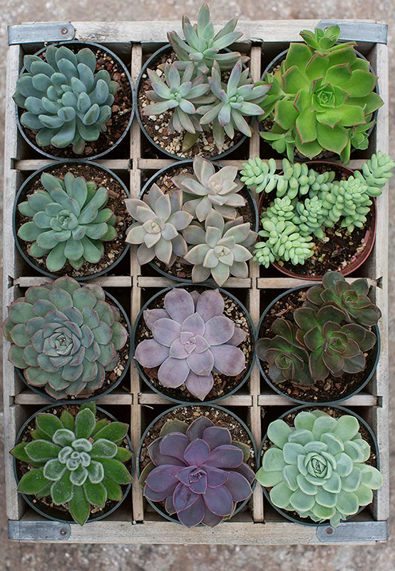 Ravensburger Puzzle moment Slagalica za odrasle 300 delova - Zeleno 12967 - dodatni pogled