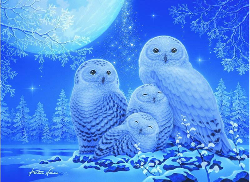 Ravensburger Puzzle 500 delova - Star Line - Sove na mesečini 16595 - dodatni pogled