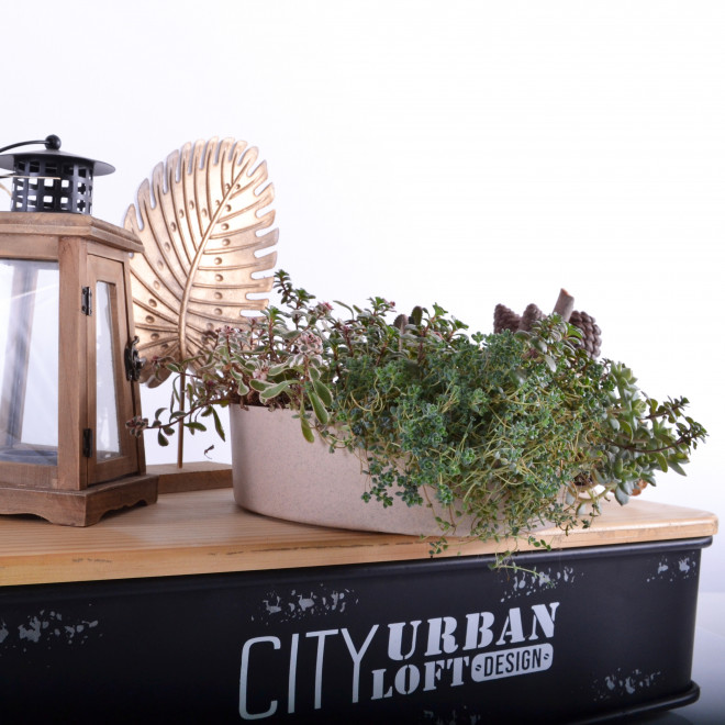 Zen plitka saksija 27cm braon - dodatni pogled