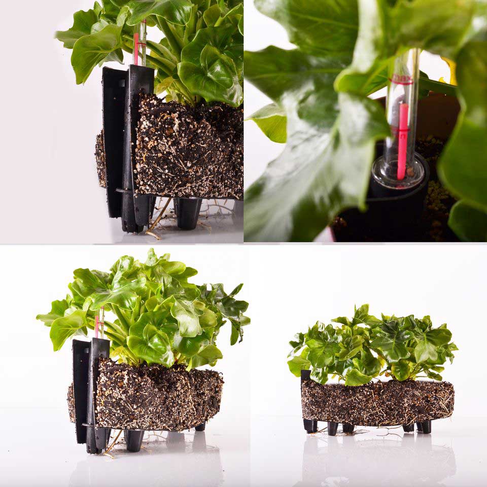 Žardinjera sa sistemom za samozalivanje Pearl 40cm bela - dodatni pogled