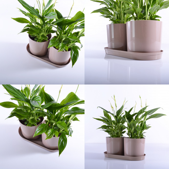 Komplet 2 saksije sa tacnom Drama Mix and PlaY bež - dodatni pogled