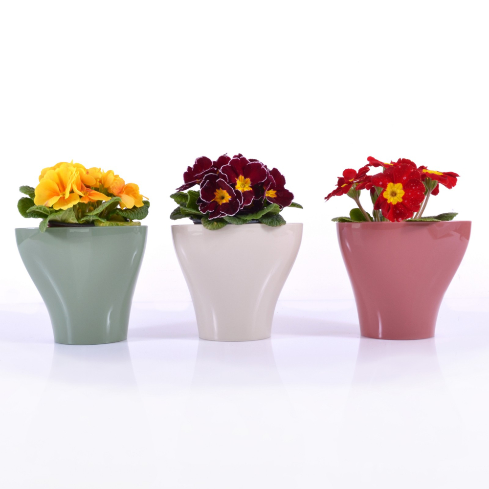 Saksija Hidrija 15 cm pesak - dodatni pogled