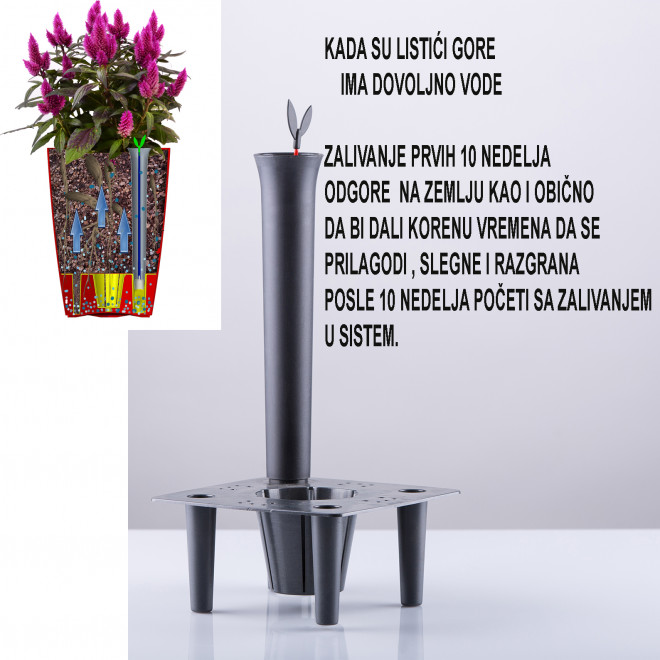 Saksija sa sistemom za zalivanje Diva 20x20 četvrtasta roze - dodatni pogled