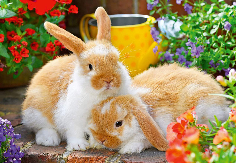 Ravensburger Dečje puzle 2x12 delova - Vreme je za maženje 05144 - detalj