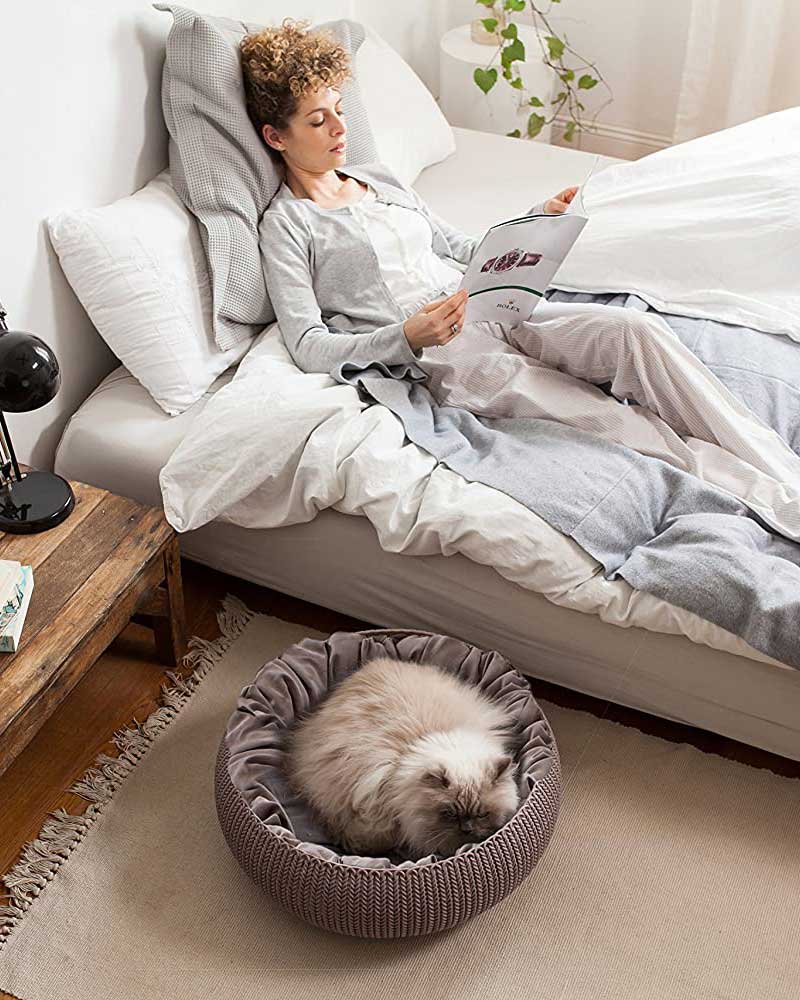 Krevet Za Pse Malih i Srednjih Rasa i Mačke Curver Cozy - Boja Peska - detalj