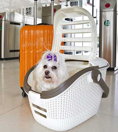 Transporter za kućne ljubimce Curver CU 00616-P16 Bež - detalj