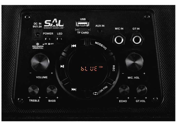 Bluetooth zvučnik 60W sa punjivom baterijom PAR219BT - detalj