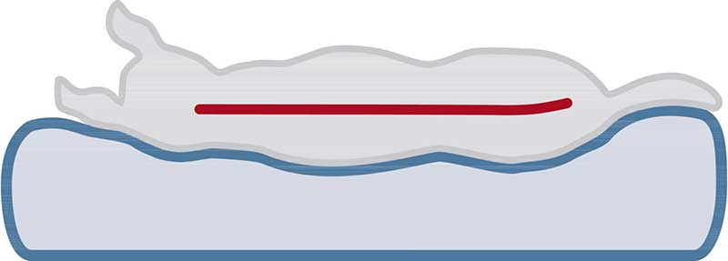 Jastuk za male pse Lonni Vital 60cm blue Trixie 37961 - detalj