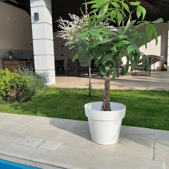 Velika saksija za cveće sa tacnom Standard 40 bela - detalj