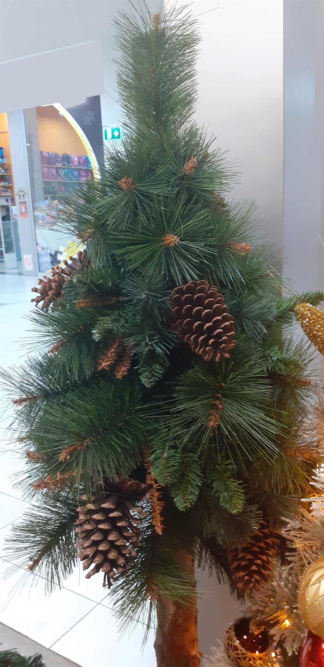 Novogodišnji Bor Eco Green Sa Šišarkama 145 cm - detalj