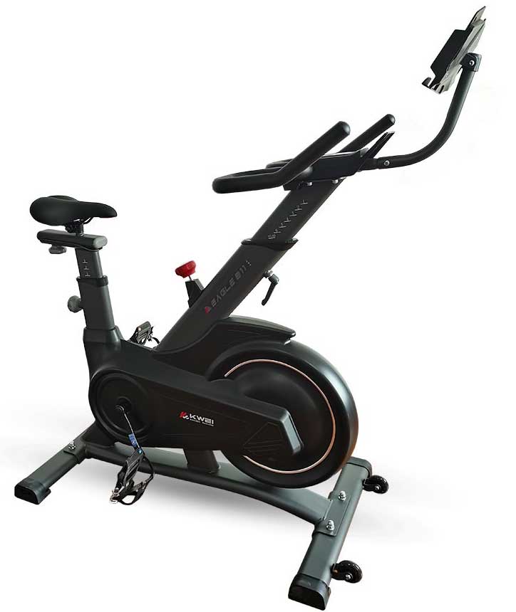 Sobni bicikl Xplorer Eagle 811 Black - detalj