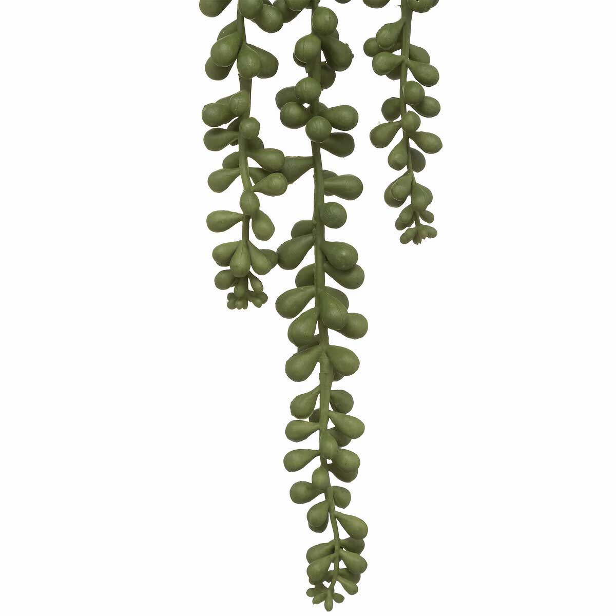 Viseća Dekorativna Biljka u Keramičkoj Saksiji Tropiques Atmosphera Createur d interieur - detalj