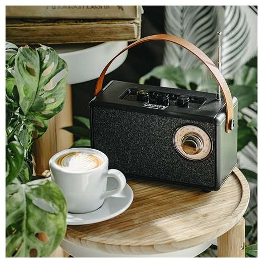 Retro Bluetooth Radio Camry CR1902B - detalj