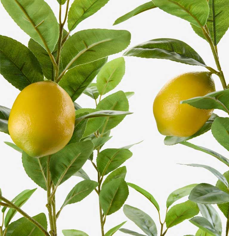 Veštačka biljka Limun 95cm - detalj