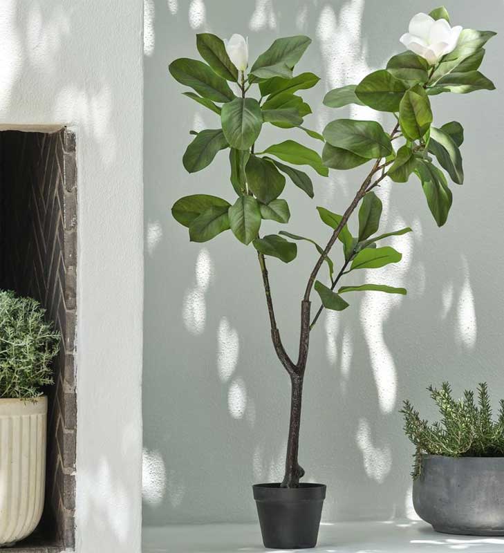 Veštačka biljka Magnolija 120cm - detalj